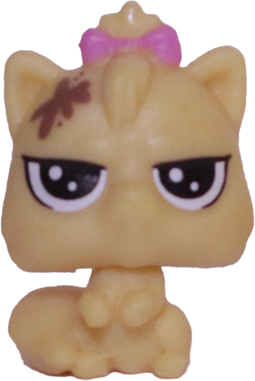 #2-75 Teensy Persian Kitten "Kittylina Scrapper"