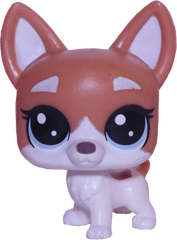 #2-94 Mini Chihuahua "Bree Lahuahua"