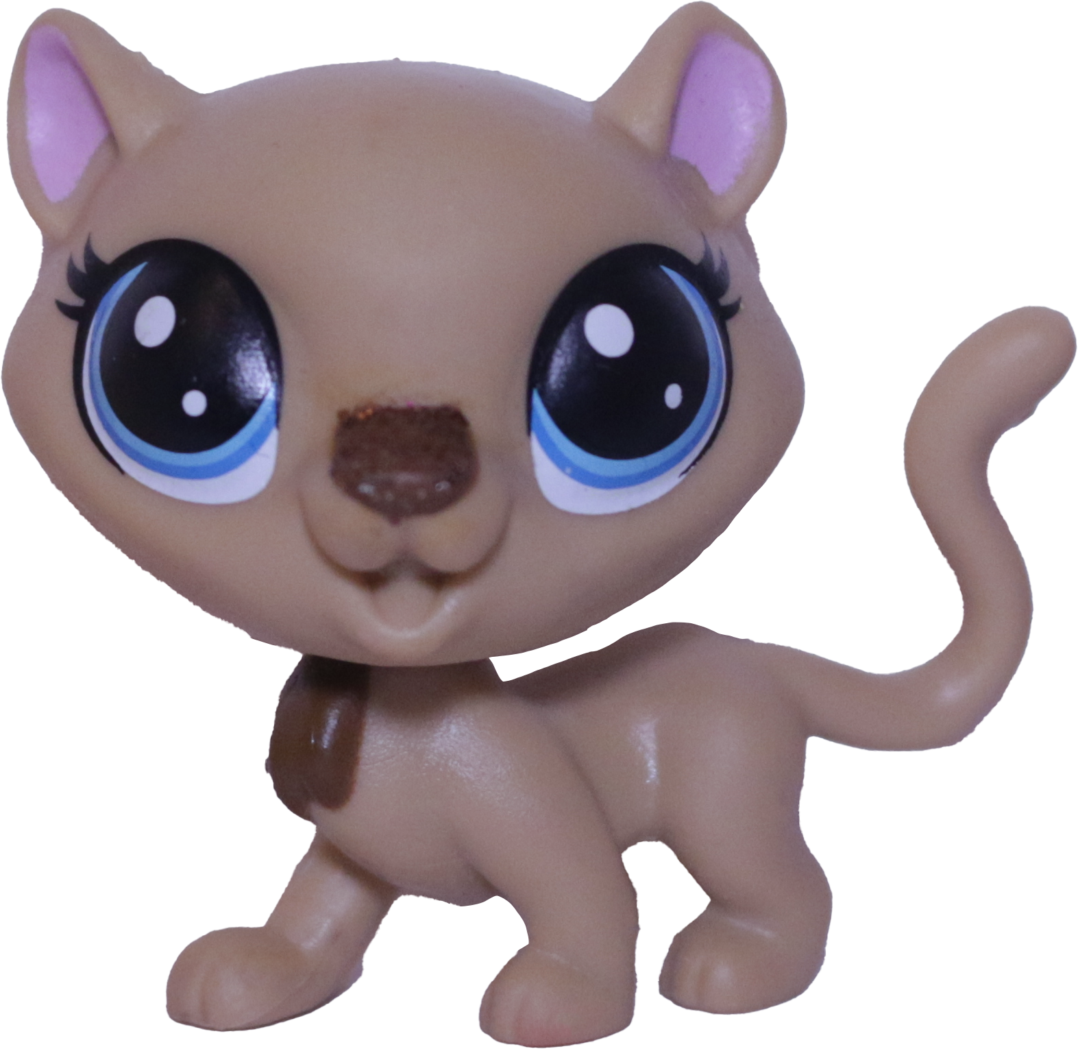 #2-S6 Cheetah "Fancie Cheetah"