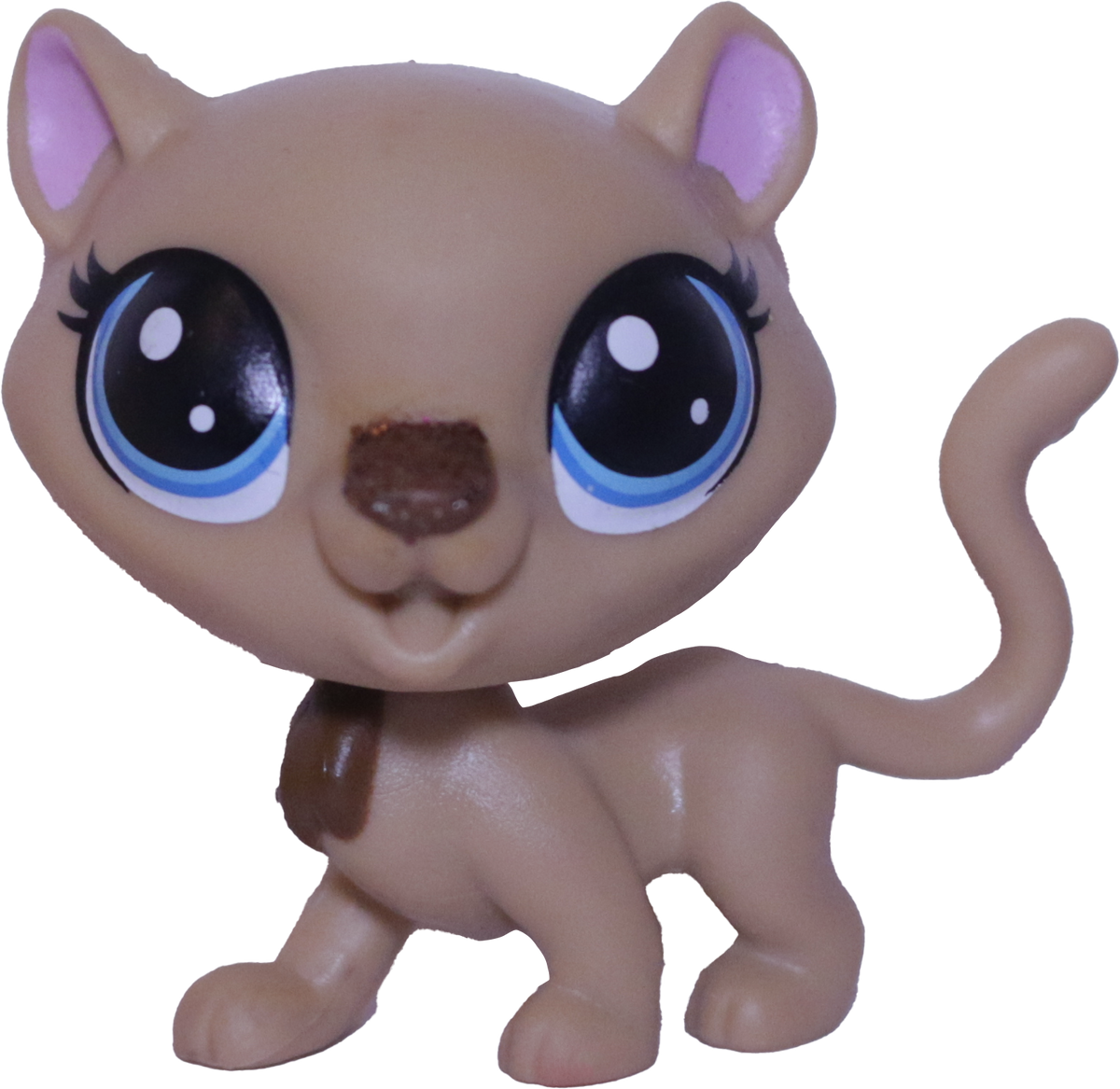 #2-S6 Cheetah "Fancie Cheetah"