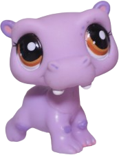 #2043 Hippo