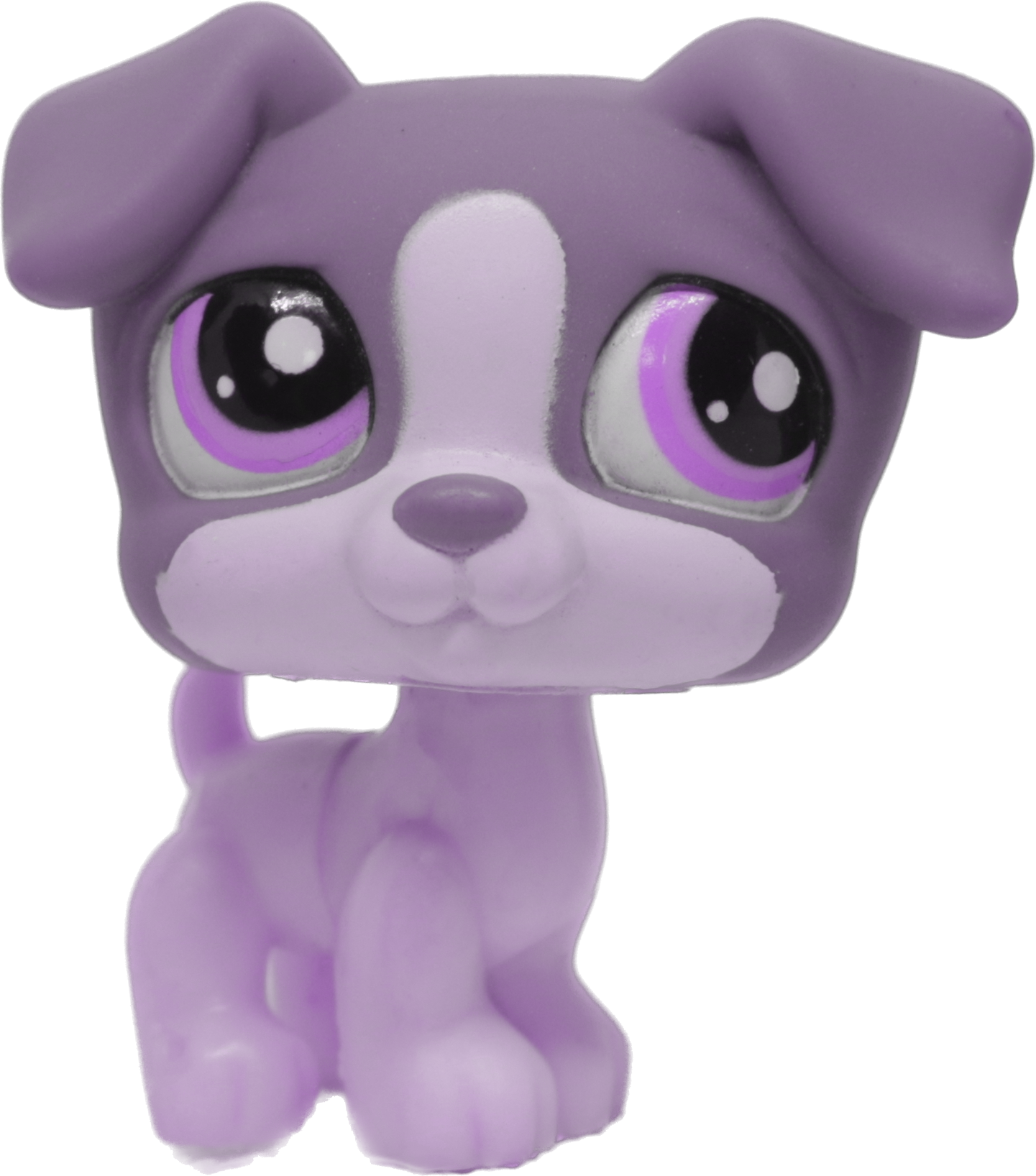 Custom Base: Jack Russell