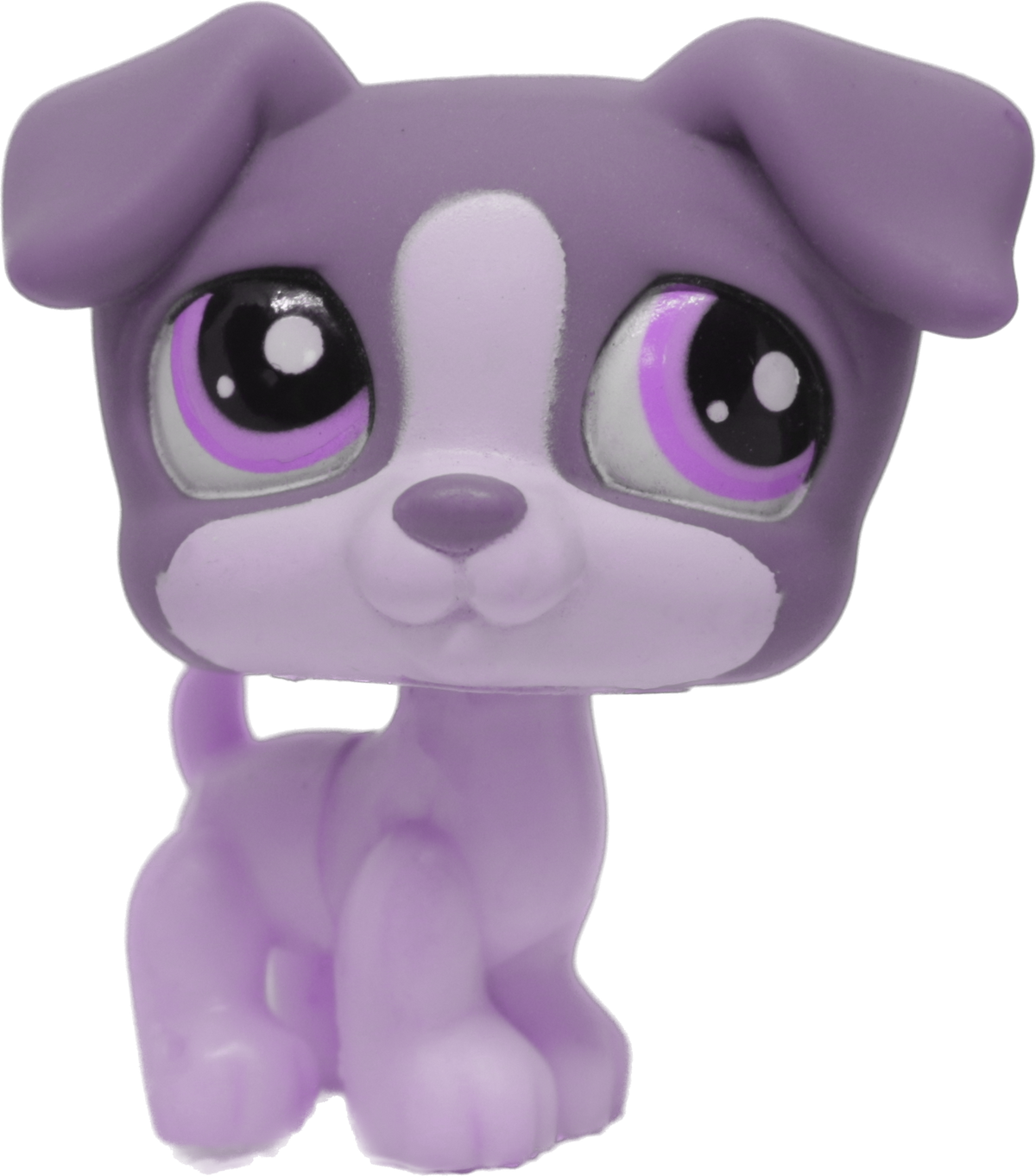 Custom Base: Jack Russell