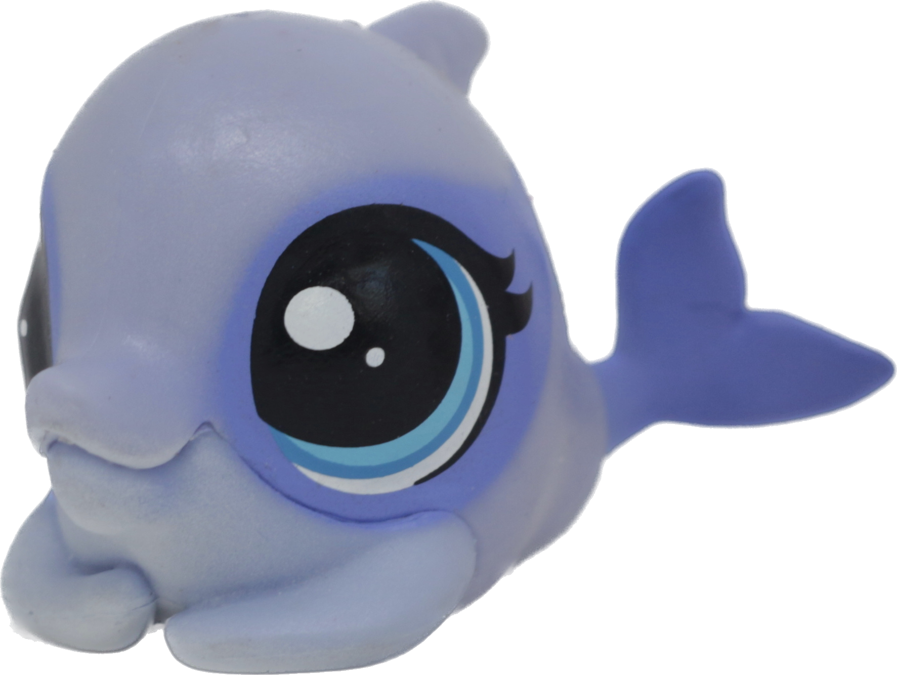 #226 Dolphin