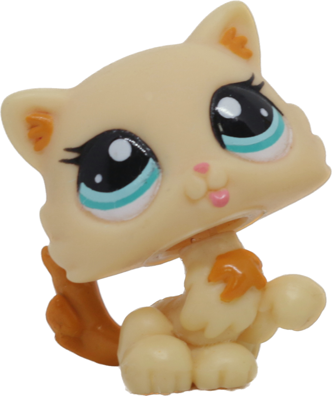 #2326 Himalayan Kitten