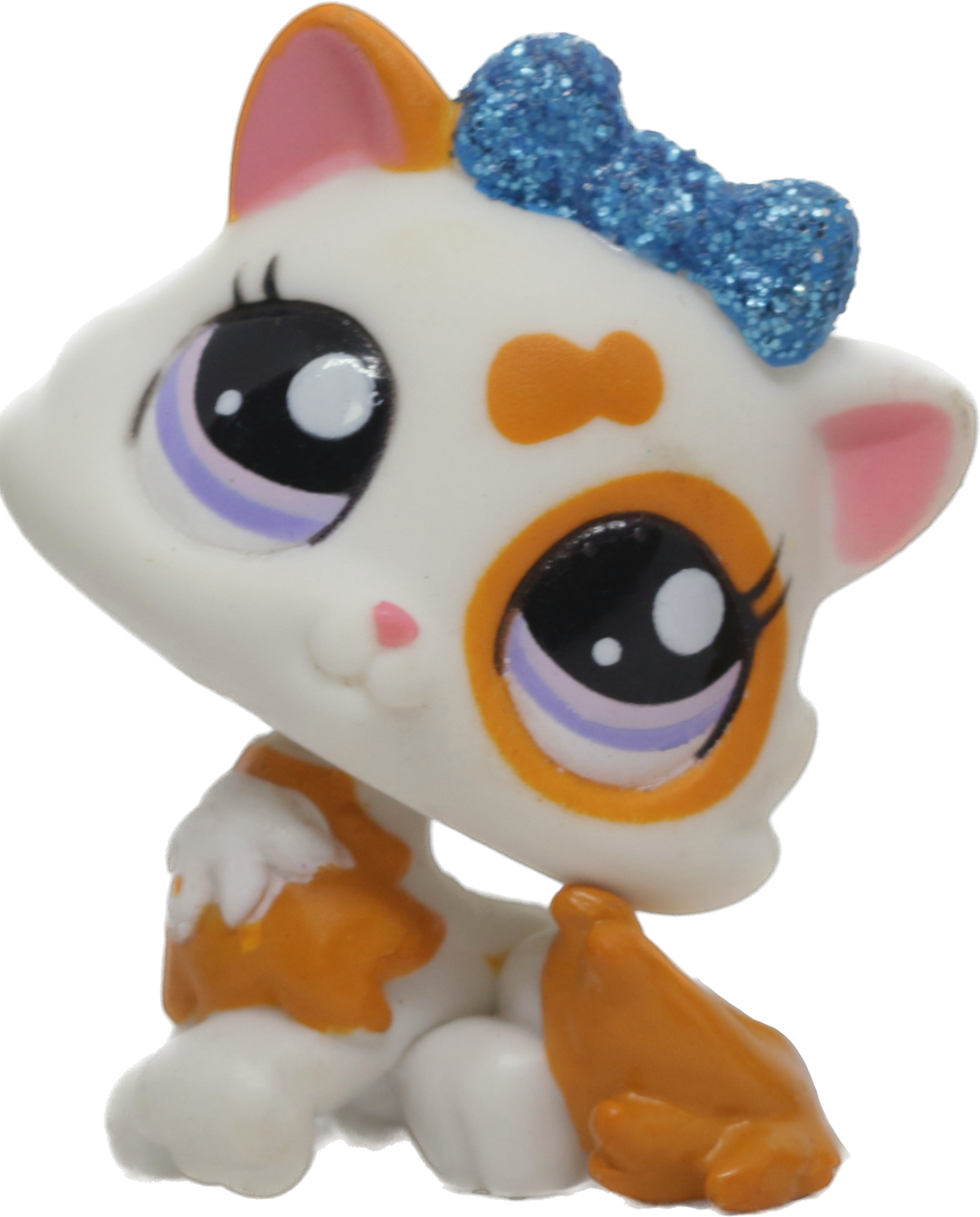 #2327 Himalayan Kitten