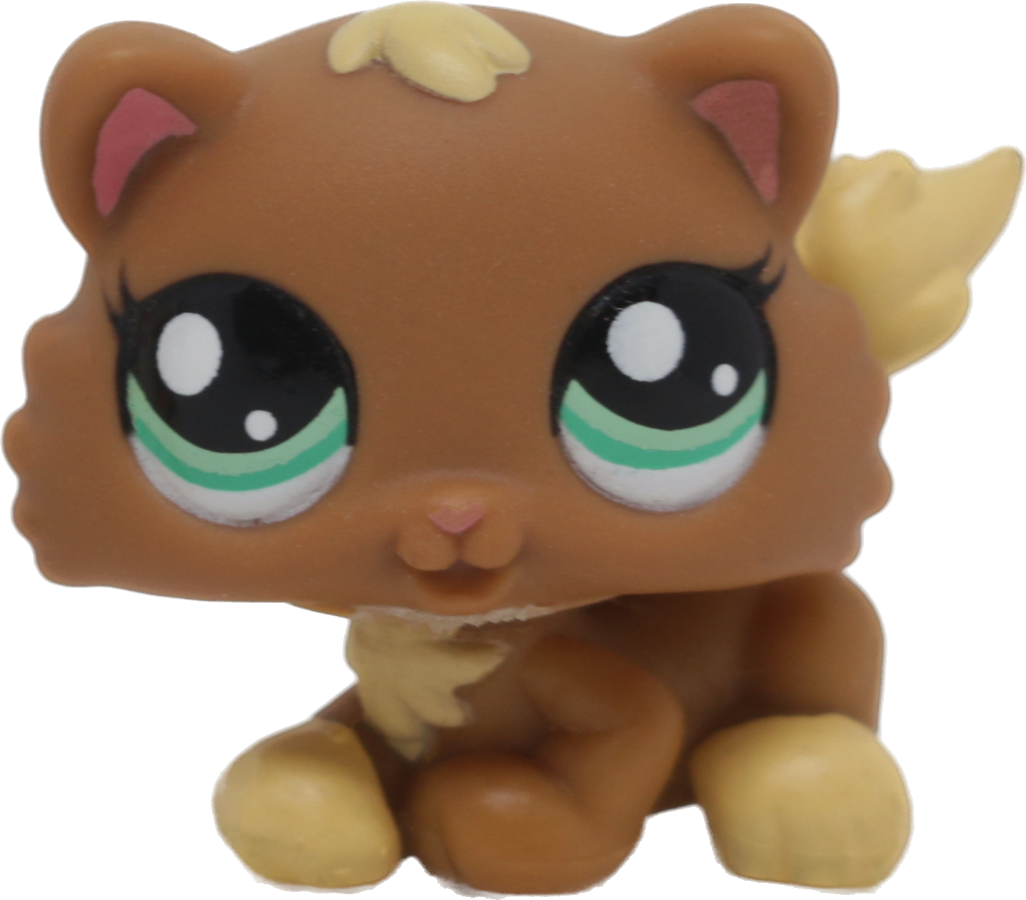 #2328 Himalayan Kitten