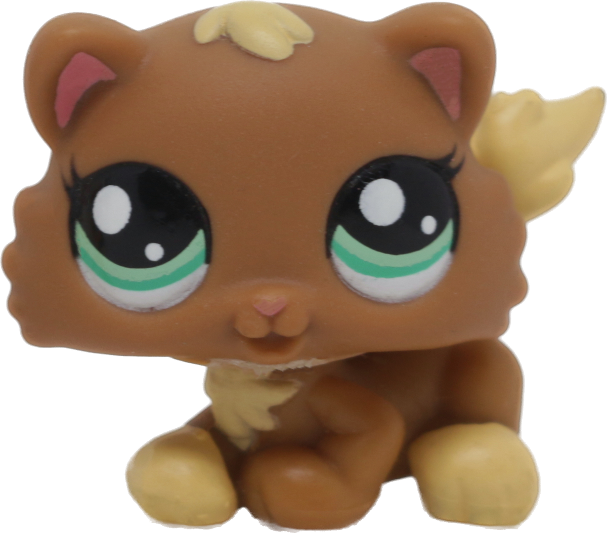 #2328 Himalayan Kitten