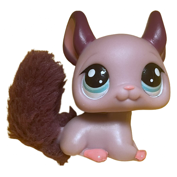 #2415 Chinchilla