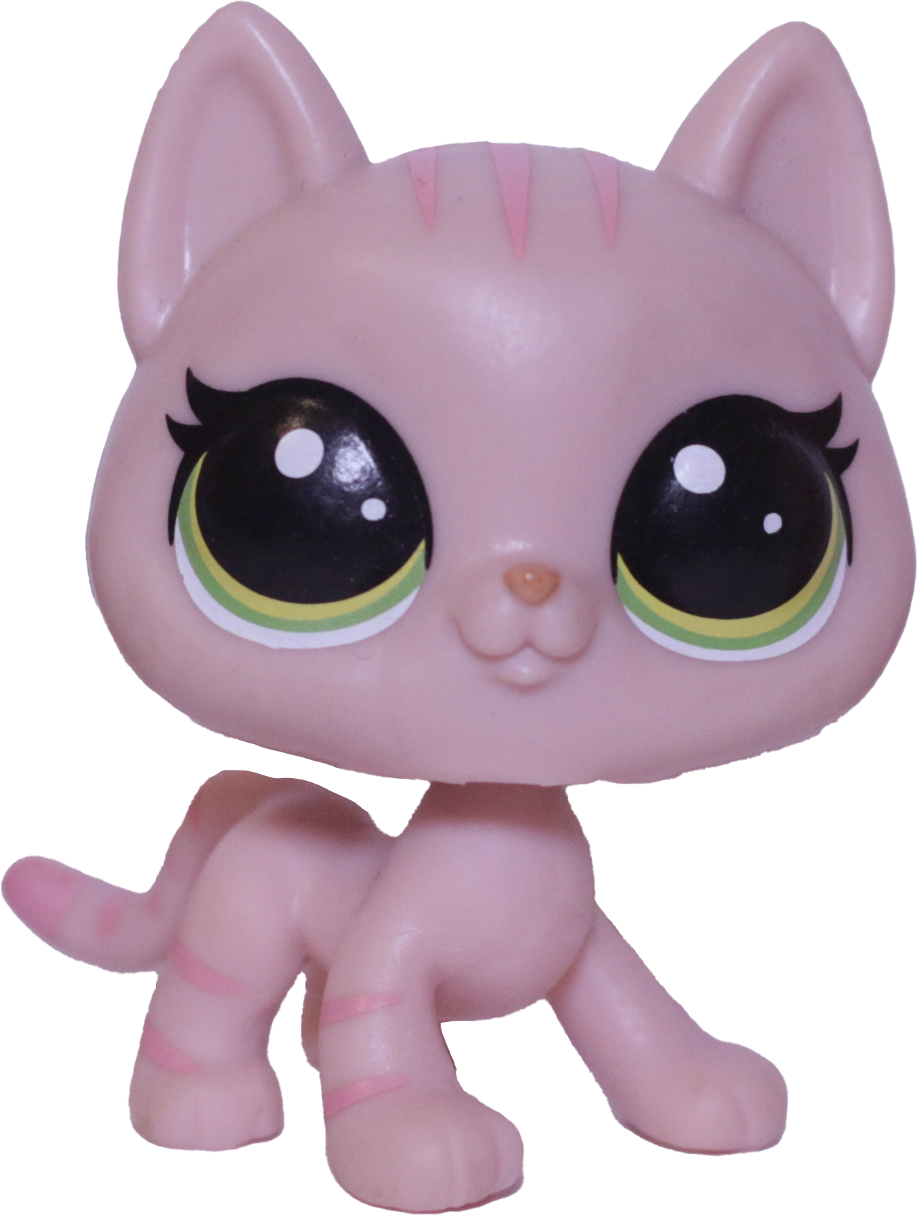 #252 Shorthair Cat "Hula Hibiscus"