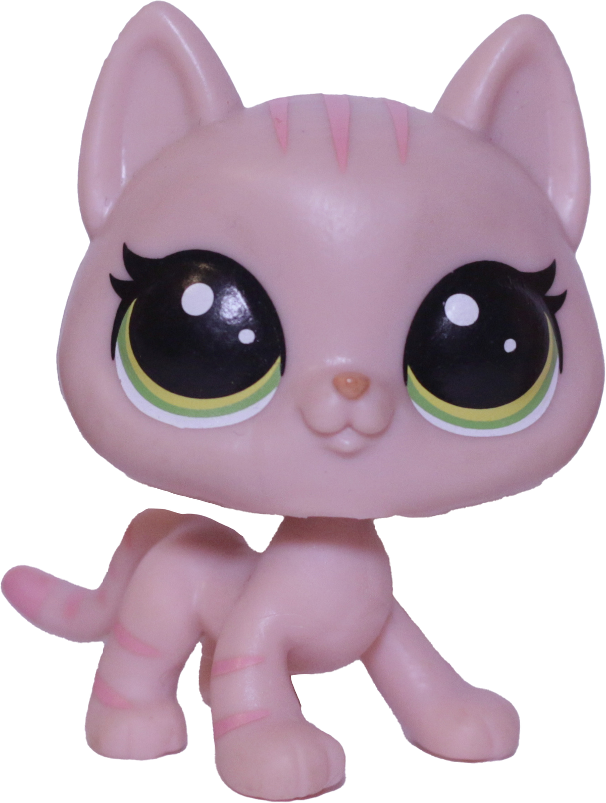 #252 Shorthair Cat "Hula Hibiscus"