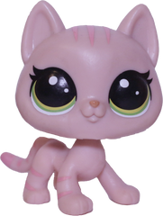 #252 Shorthair Cat "Hula Hibiscus"