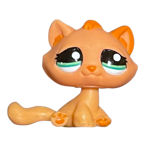 #2603 Sitting Bonbon Cat
