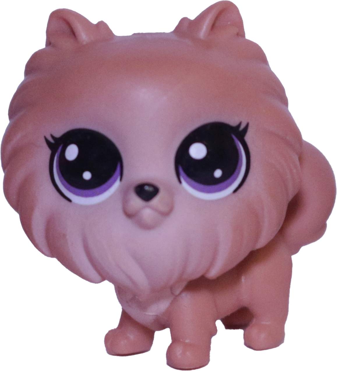 #3-163 Mini Pomeranian