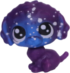 #3-36 Teensy Puppy "Remus Newfound"