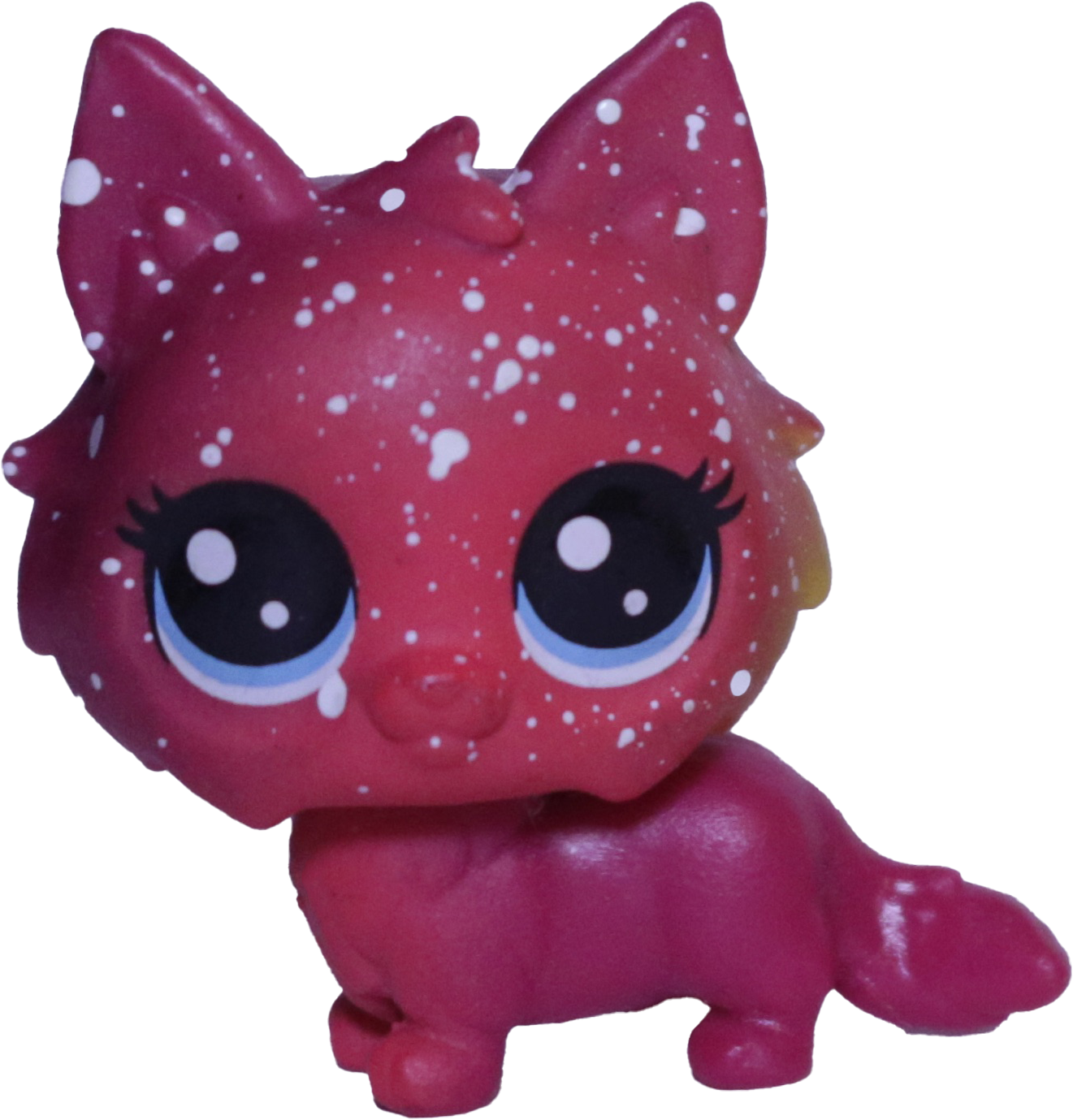 #3-5 Mini Kitten "Meteora Siberia"