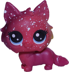 #3-5 Mini Kitten "Meteora Siberia"