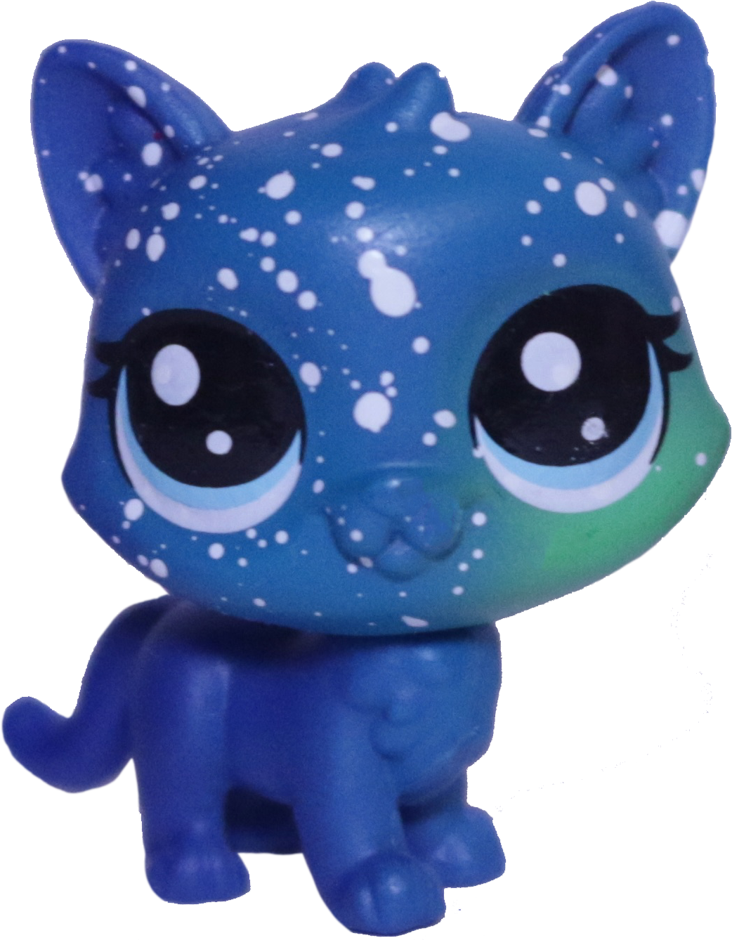 #3-6 Mini Kitten "Asteroid Tortiecat"