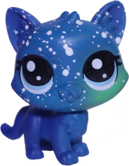 #3-6 Mini Kitten "Asteroid Tortiecat"