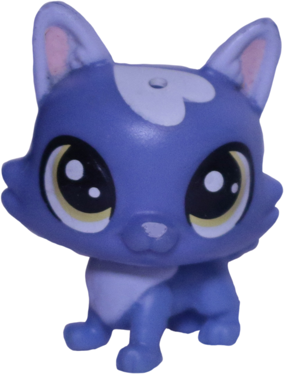 #332 Mini Puppy "Arran Pawsdale"