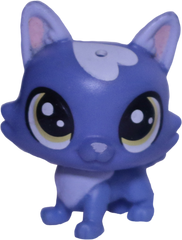 #332 Mini Puppy "Arran Pawsdale"