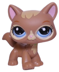 #3578 Destiny Cat