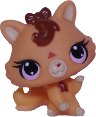 #3594 Baby Tiger Kitten