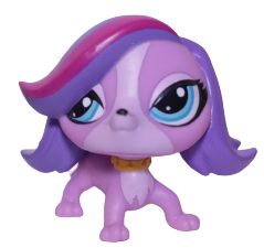 #3607 Spaniel "Zoe Trent"