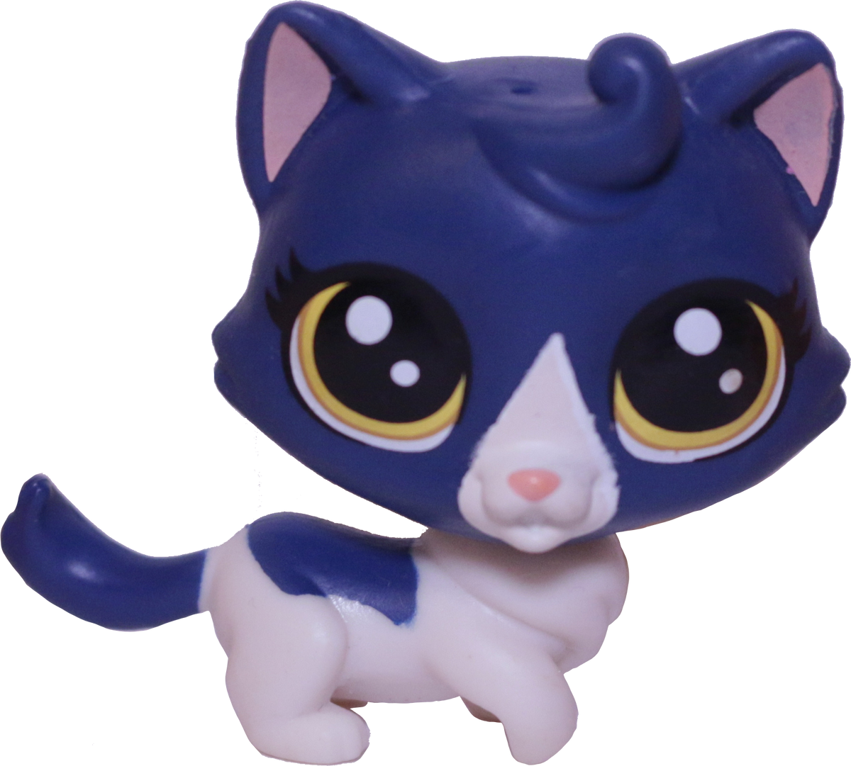 #39 Munchkin Cat "Keena Catley"