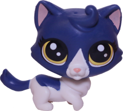 #39 Munchkin Cat "Keena Catley"