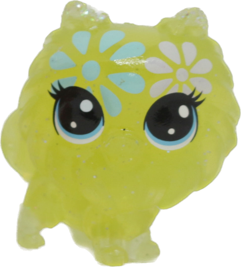 #4-118 Mini Pomeranian