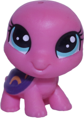 #4142 Mini Turtle "Lollie Shields"