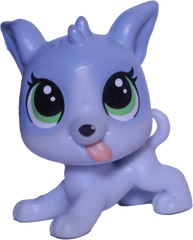 #44 Mini Puppy "Loopy Greycloud"