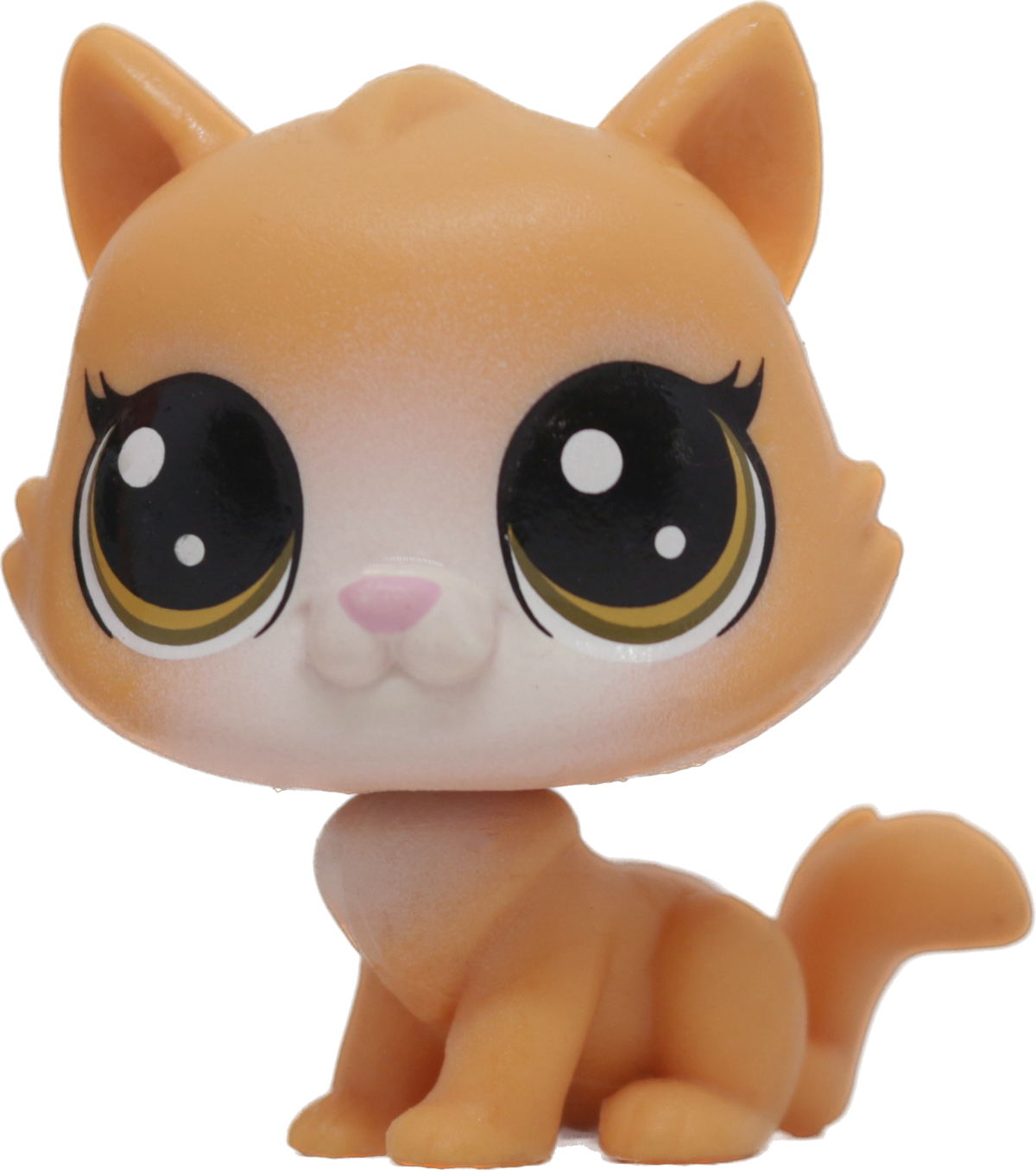 #78 Cat "Pouncy Sipton"