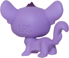 No # Mini Sugar Glider