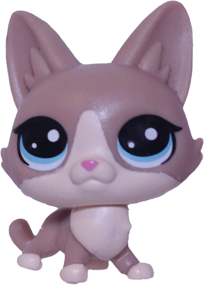 No # Mini Lynx Kitten