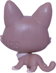 No # Mini Lynx Kitten