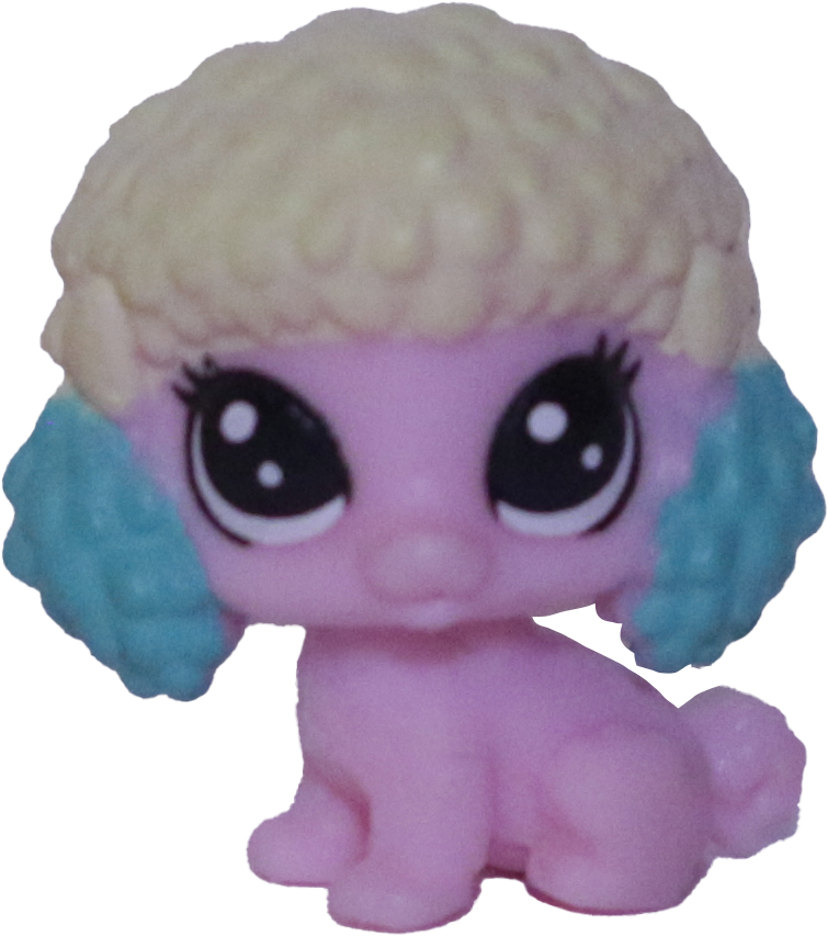 No # Teensy Poodle "Tornado Tom"