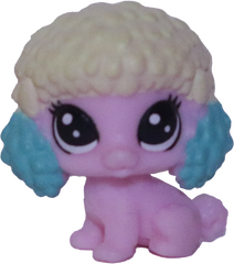 No # Teensy Poodle "Tornado Tom"