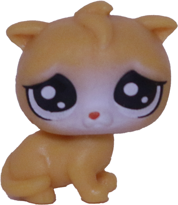 No # Teensy Kitten "Salty Sea"