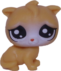 No # Teensy Kitten "Salty Sea"