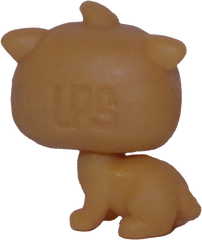 No # Teensy Kitten "Salty Sea"