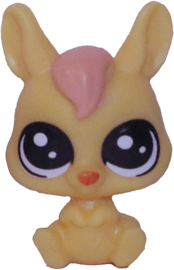 No # Teensy Kangaroo "Night Sky"