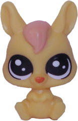 No # Teensy Kangaroo "Night Sky"