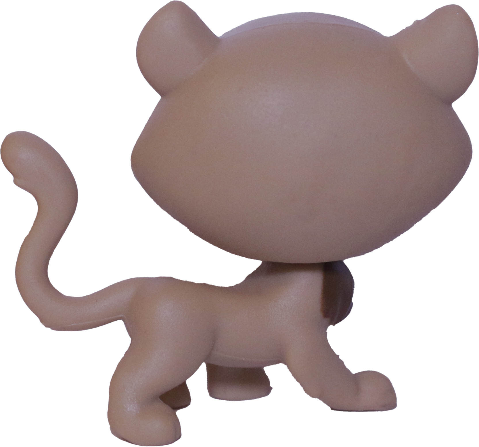 #2-S6 Cheetah "Fancie Cheetah"