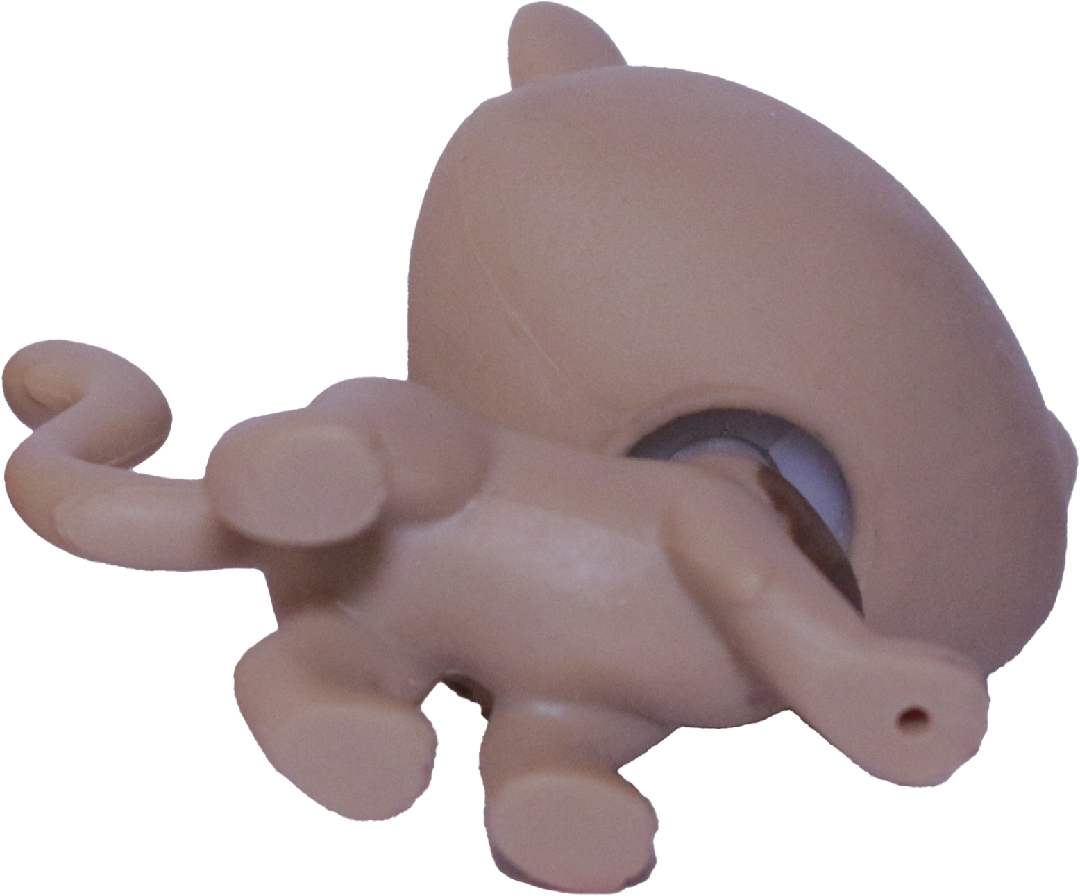 #2-S6 Cheetah "Fancie Cheetah"