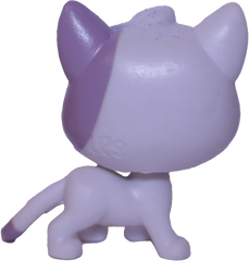 No # Cat "Lemon Fluff"