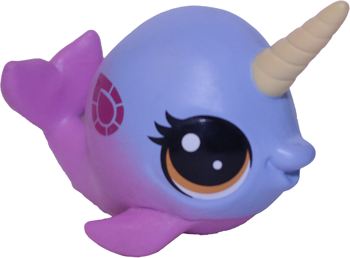 No # Narwhal "Tempo"