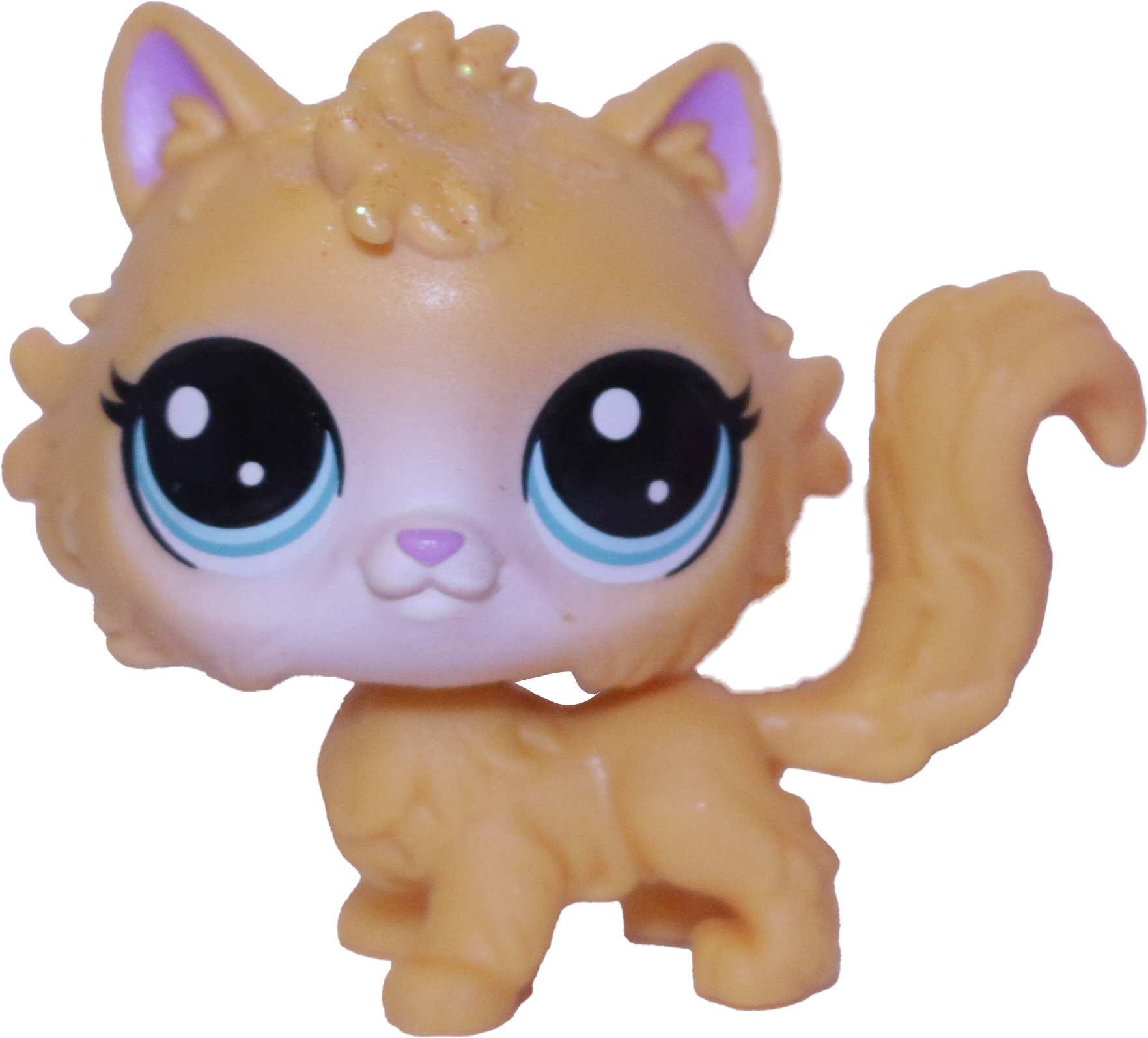 #45 Cat "Daffodil Selkirk"