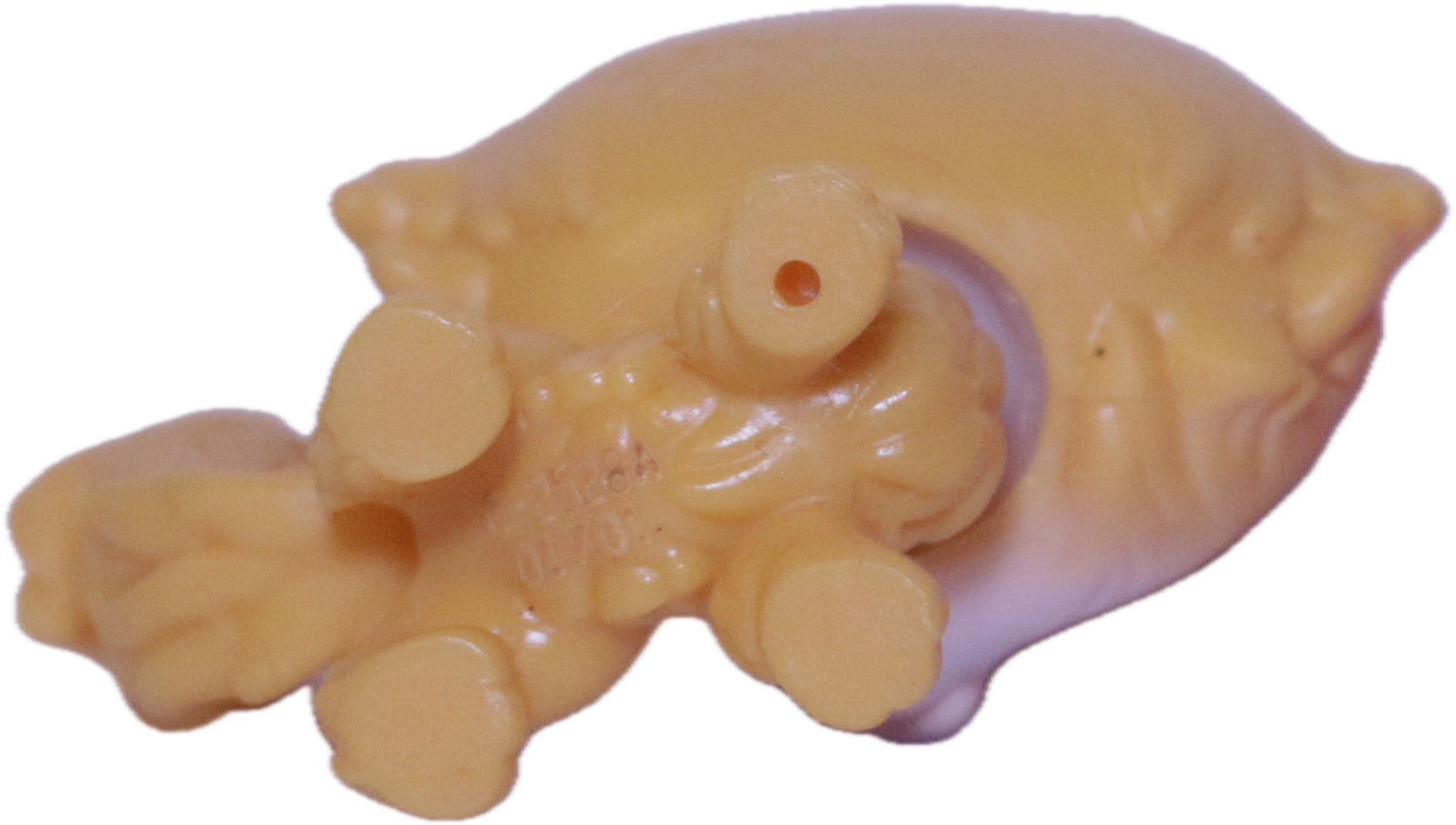 #45 Cat "Daffodil Selkirk"